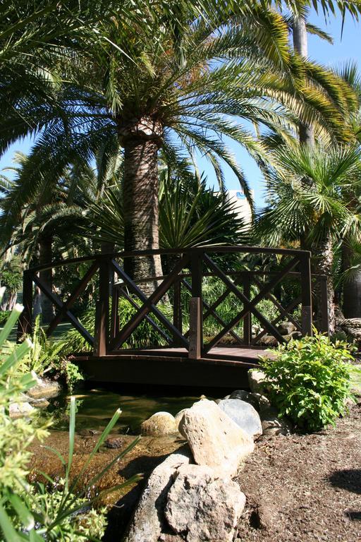 The Oasis By Don Carlos Hotel