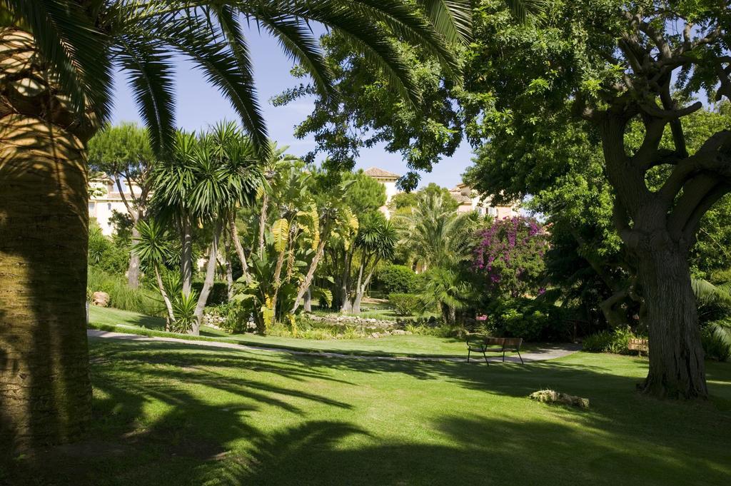The Oasis By Don Carlos Marbella