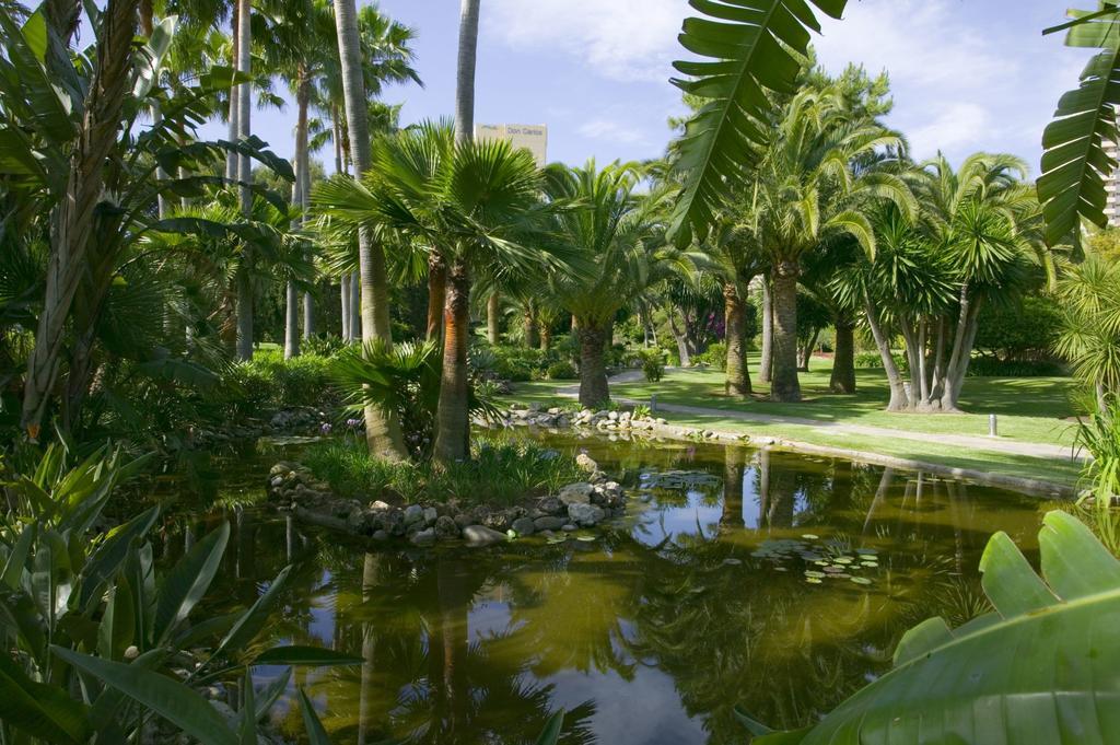 The Oasis By Don Carlos 5*