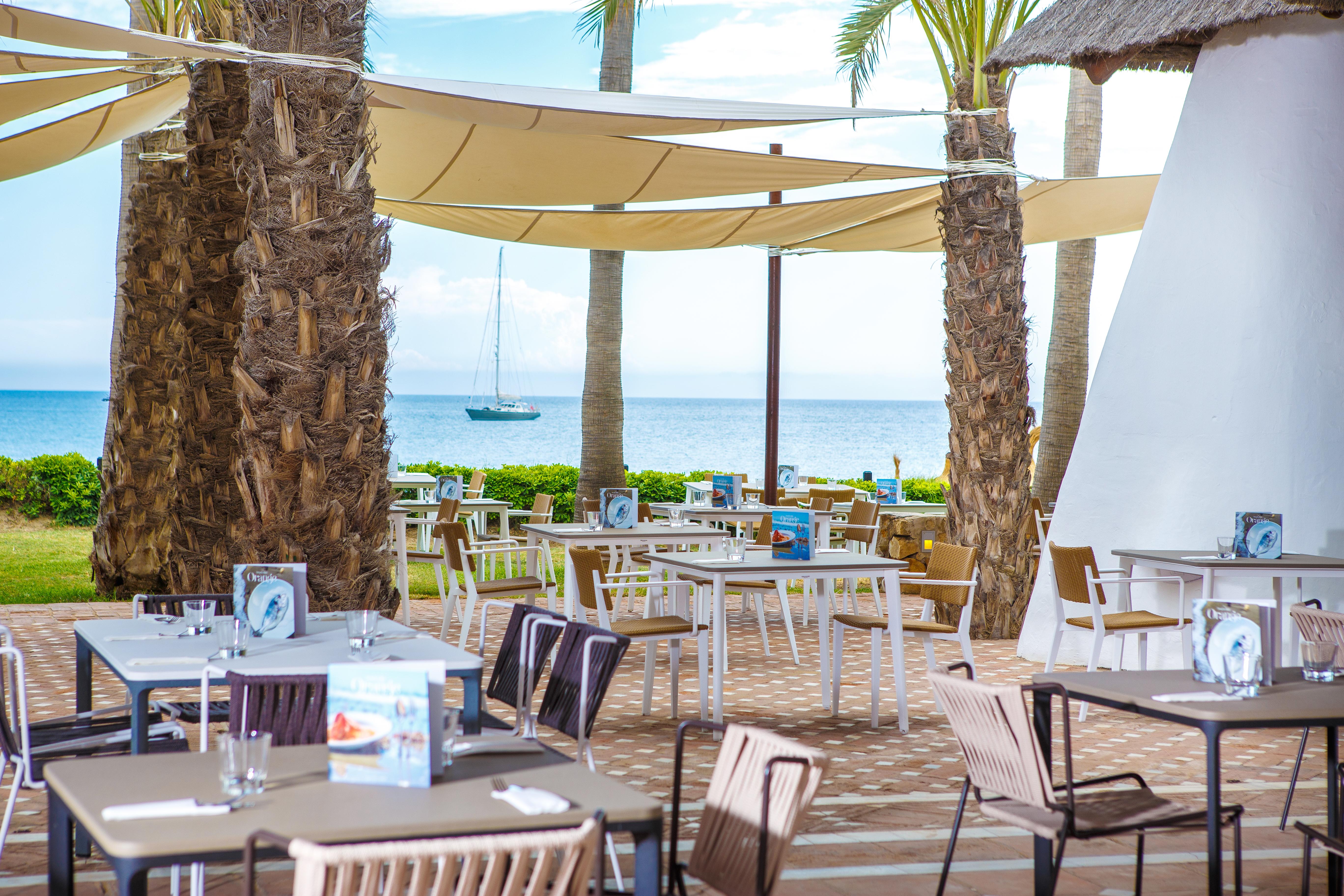 Hotel The Oasis By Don Carlos