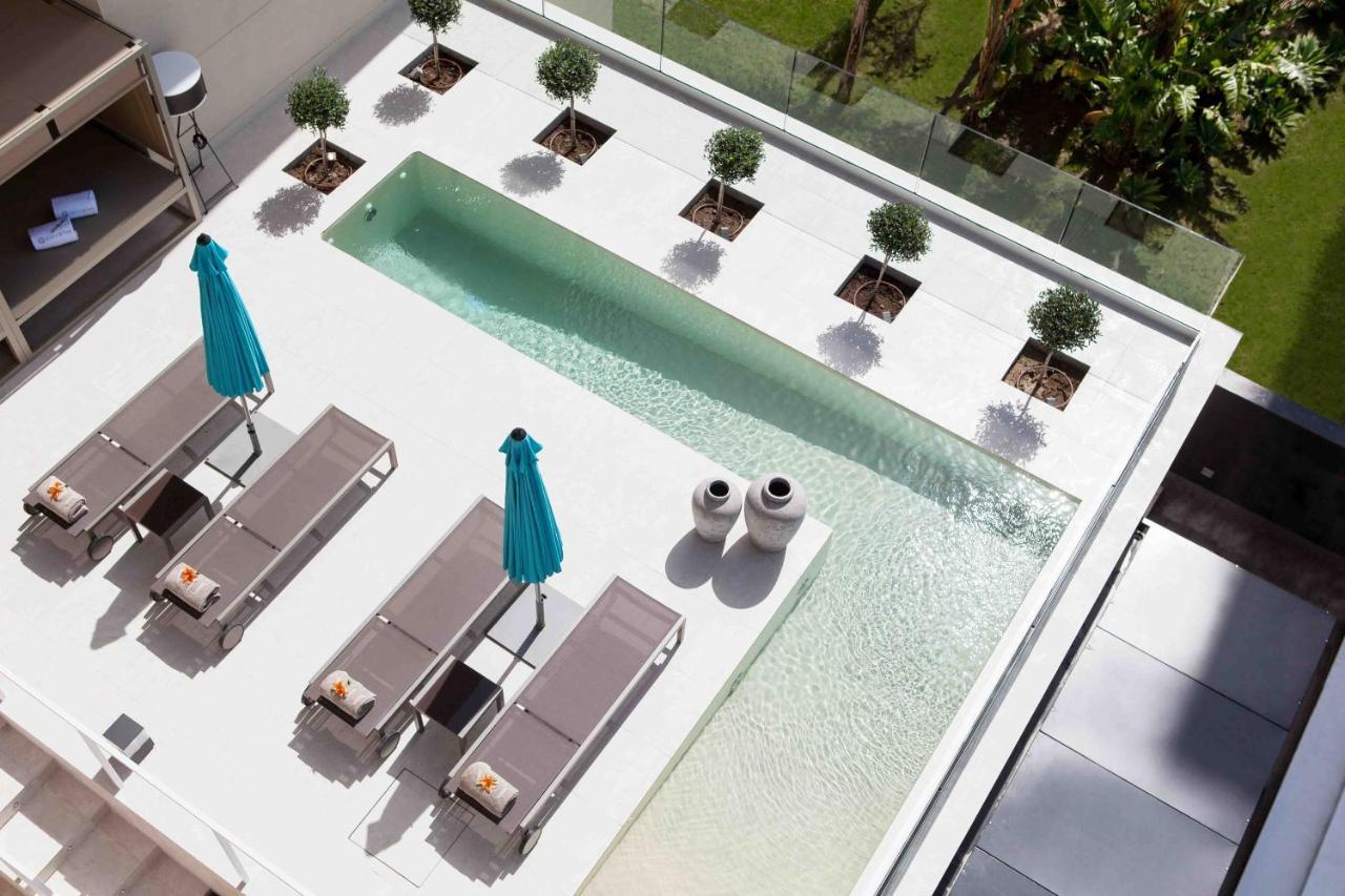 The Oasis By Don Carlos Hotel
