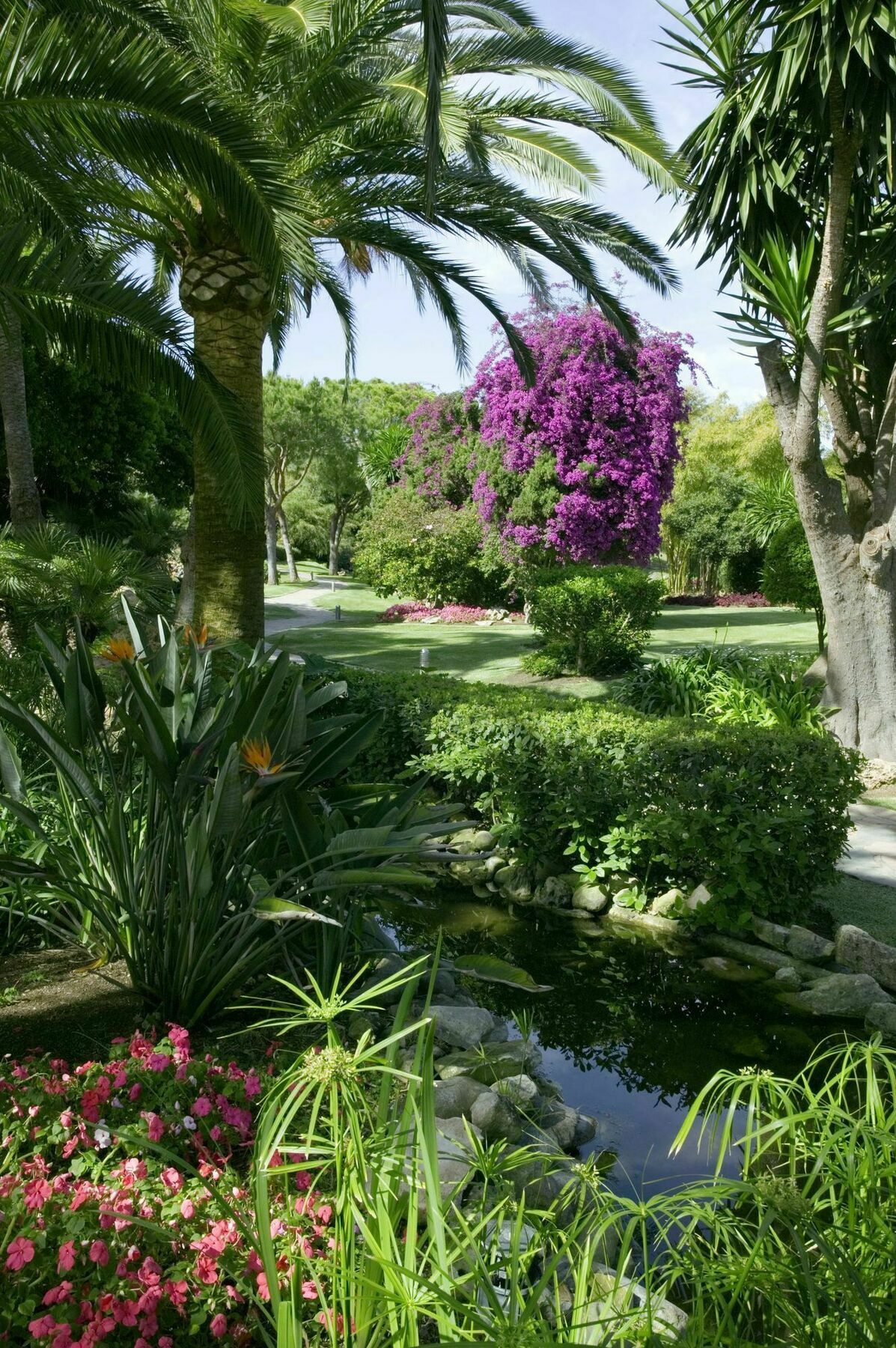 Hotel The Oasis By Don Carlos