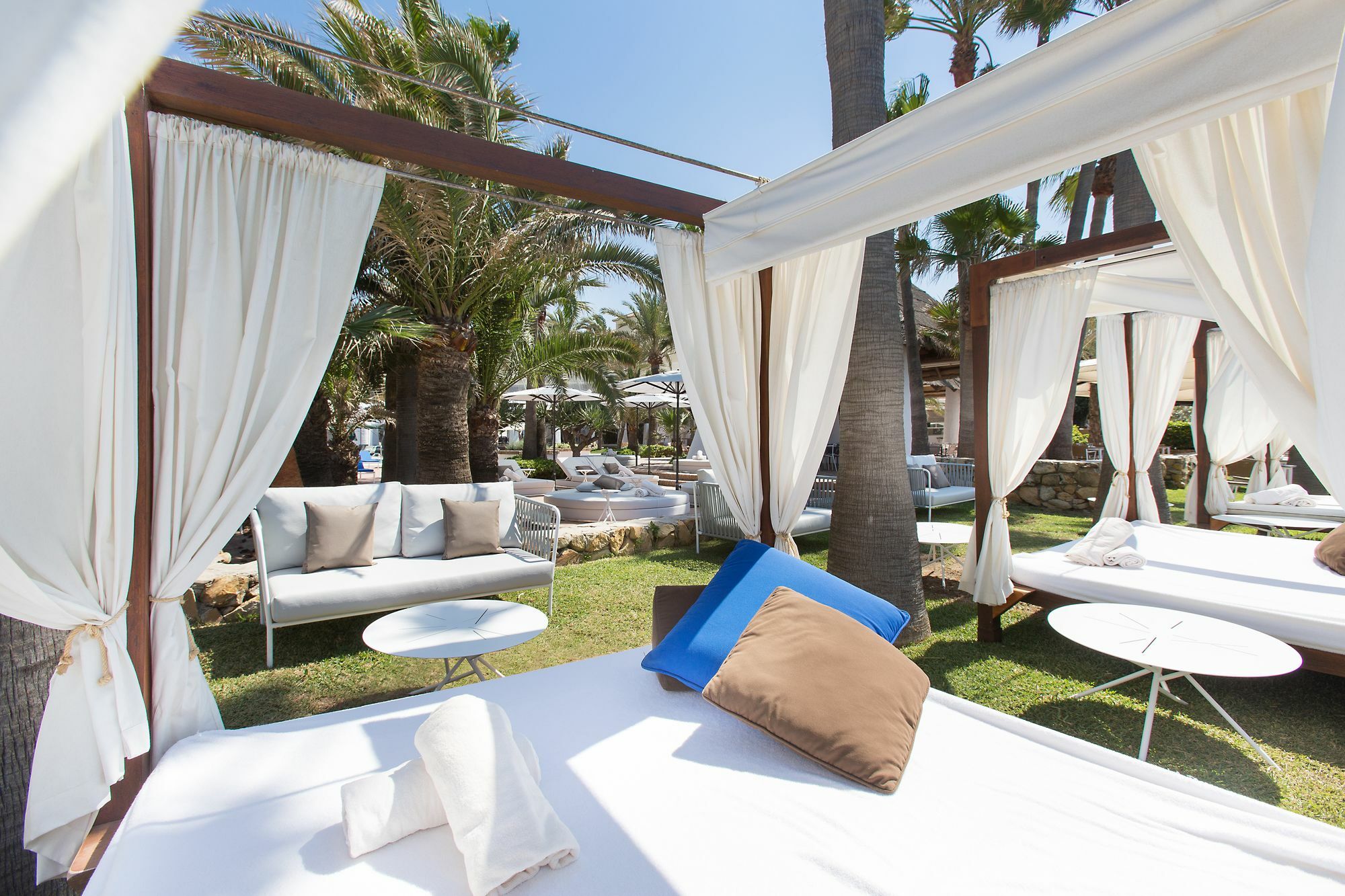 The Oasis By Don Carlos