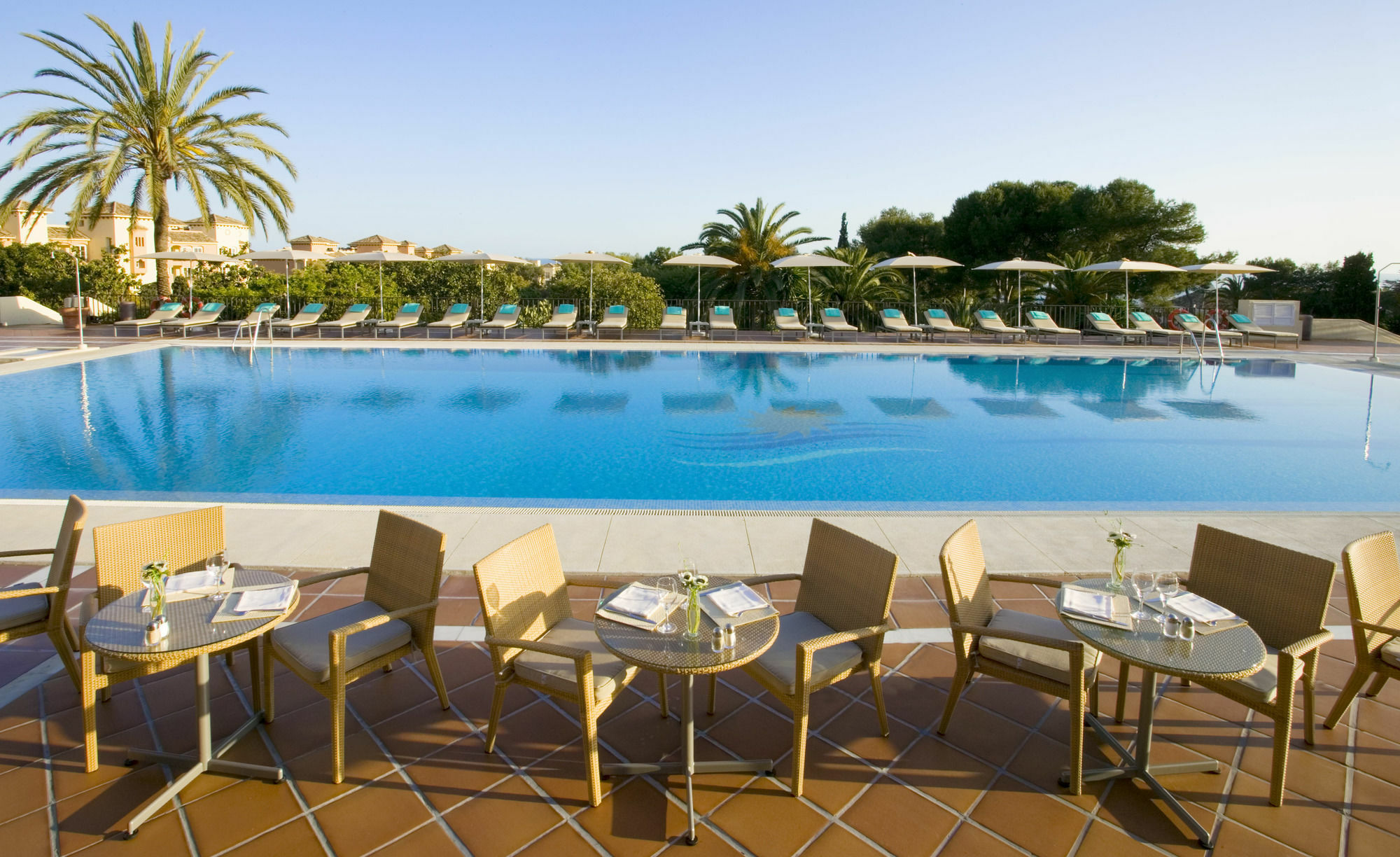 The Oasis By Don Carlos Marbella
